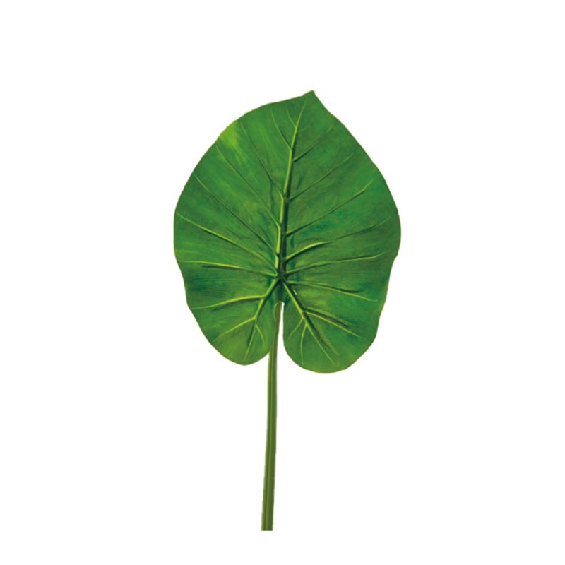 L120X4 Зеленый лист Adriani e Rossi 