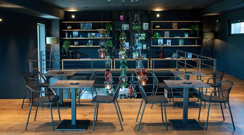 emu Darwin  521  - Вид №14