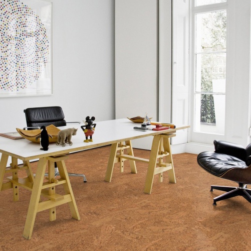 Пробка Wicanders Eco Cork Accent (Гладкая) 600х300 мм DN17002 - Вид №42