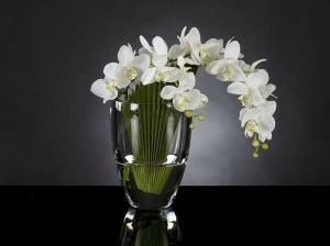 VGnewtrend Искусственное растение  1140781.95