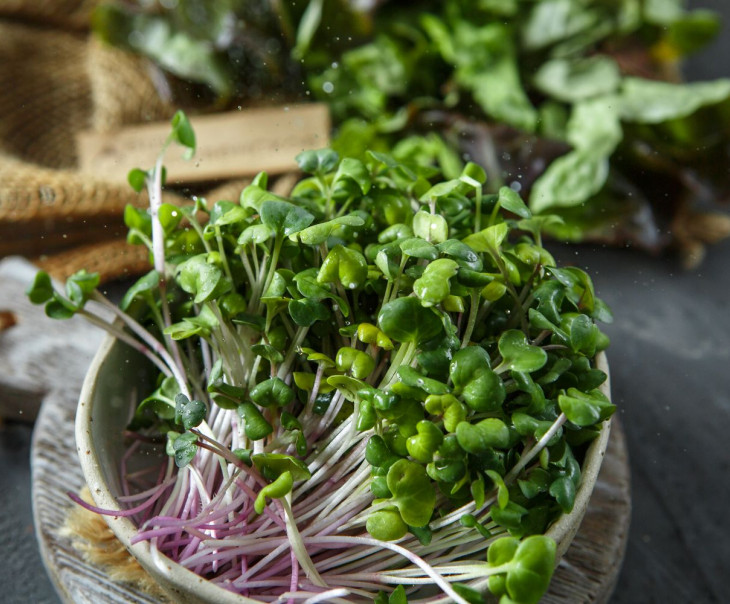 5505 Микрозелень редиса "Чайна Роуз" Вкусляндия  - Вид №1