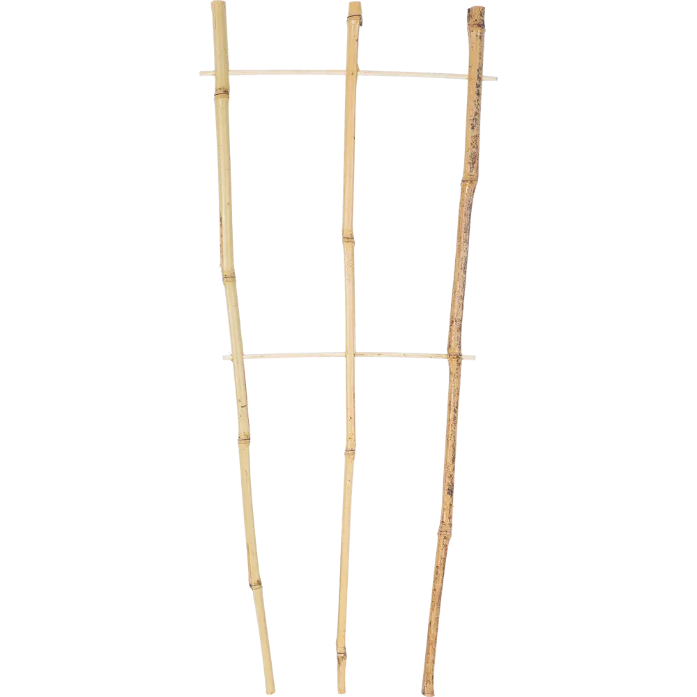 GARDMAX Бамбуковая решетка-опора для вьющихся растений 60 см 81951925 STLM-0014848