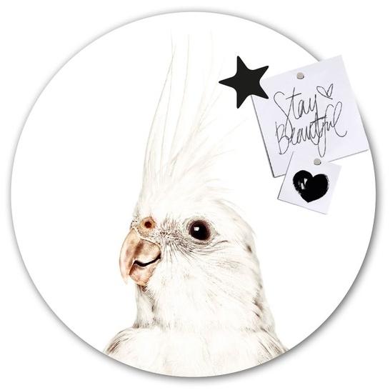 Groovy Magnets Клейкий мотив украшения Animal sun-id-1380895 - Вид №1