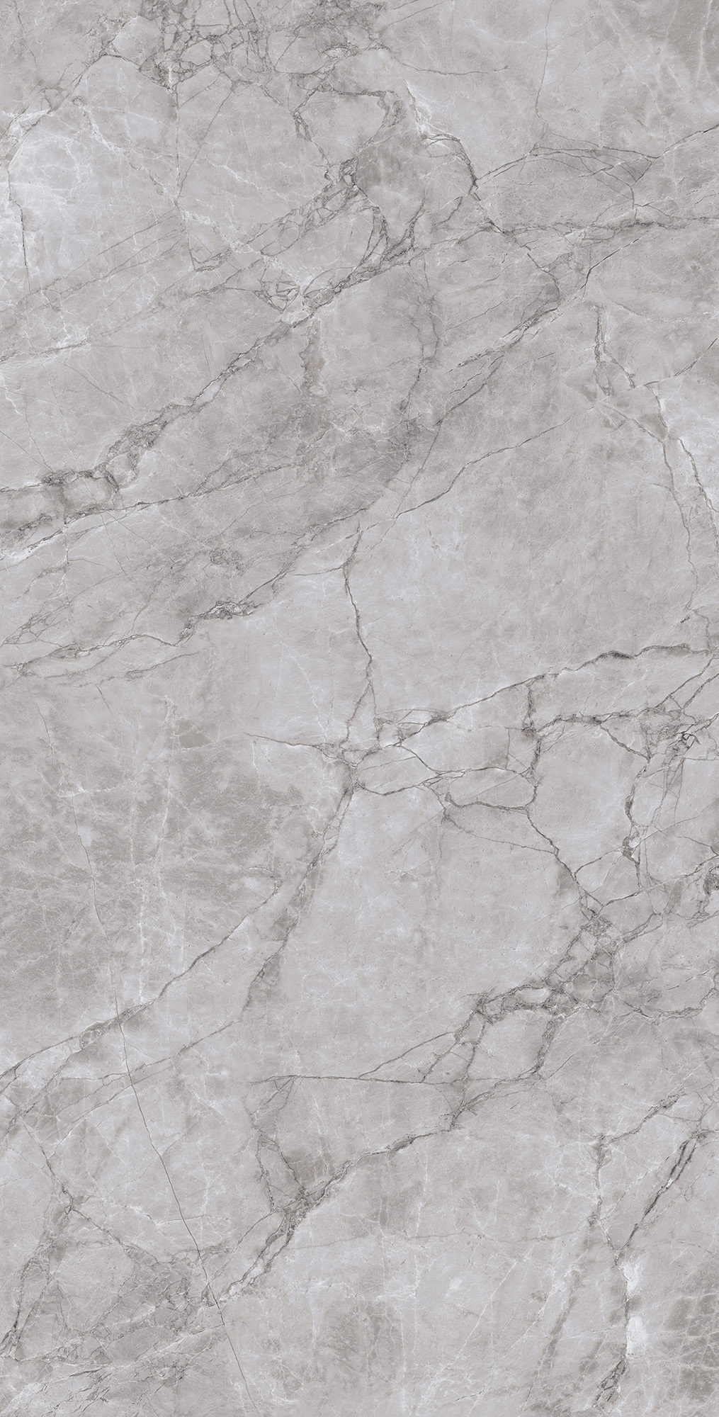 ARCTIC GREY LAPPATO ARCADIA CERAMICA CL4005-A - Вид №1