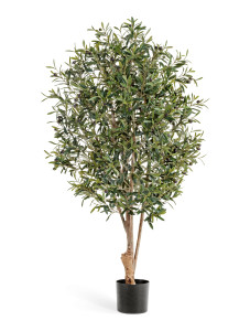 10.28205N Олива Твист с плодами Цветочная коллекция