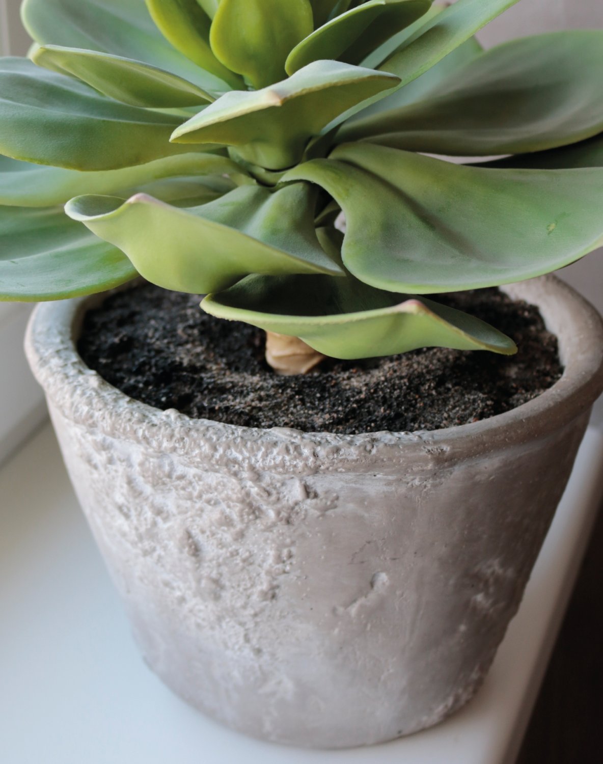 6401 883 a3 Искусственный суккулент, горшок, 33 см, зеленый H-andreas  - Вид №2