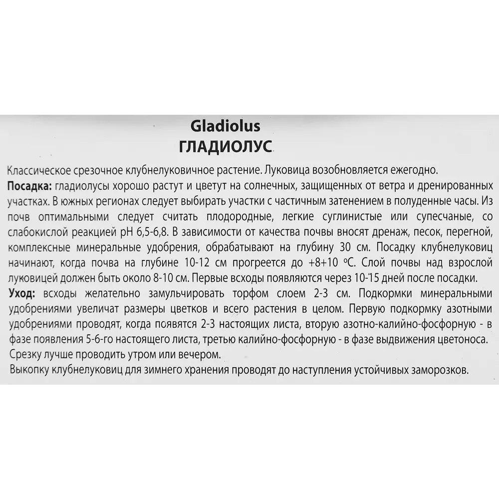 Гладиолус гофрированный Файр Крекер, 3 шт. 89351778 STLM-2156692 ПОИСК  - Вид №2