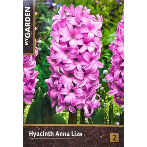Гиацинт садовый Анна Лиза, 2 шт.