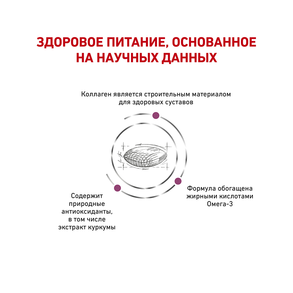 ПР0056723 Корм для собак RC Vet Diet Mobility C2P+ для опорно-двигательного аппарата сух. 12кг ROYAL CANIN  - Вид №3
