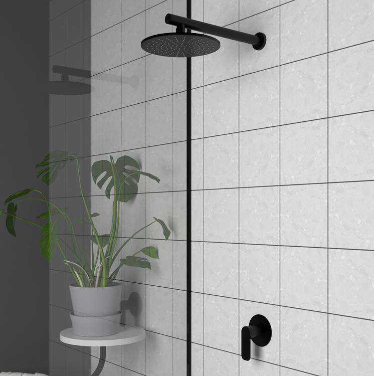 Paini Nove 09PZ690 смеситель для душа встраиваемый  - Вид №2