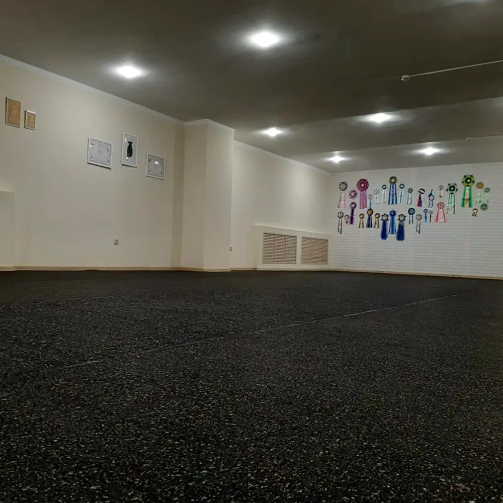 Резиновое покрытие Alegria Color 810 8 мм 1.2x10 м 12 м² 84804128 STLM-2185055 Santreyd  - Вид №8