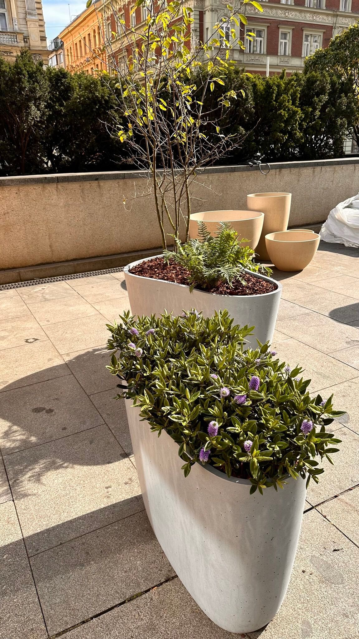 Бетонная ВАЗа ручной работы Betoni Organic ARCH-00047776 - Вид №8