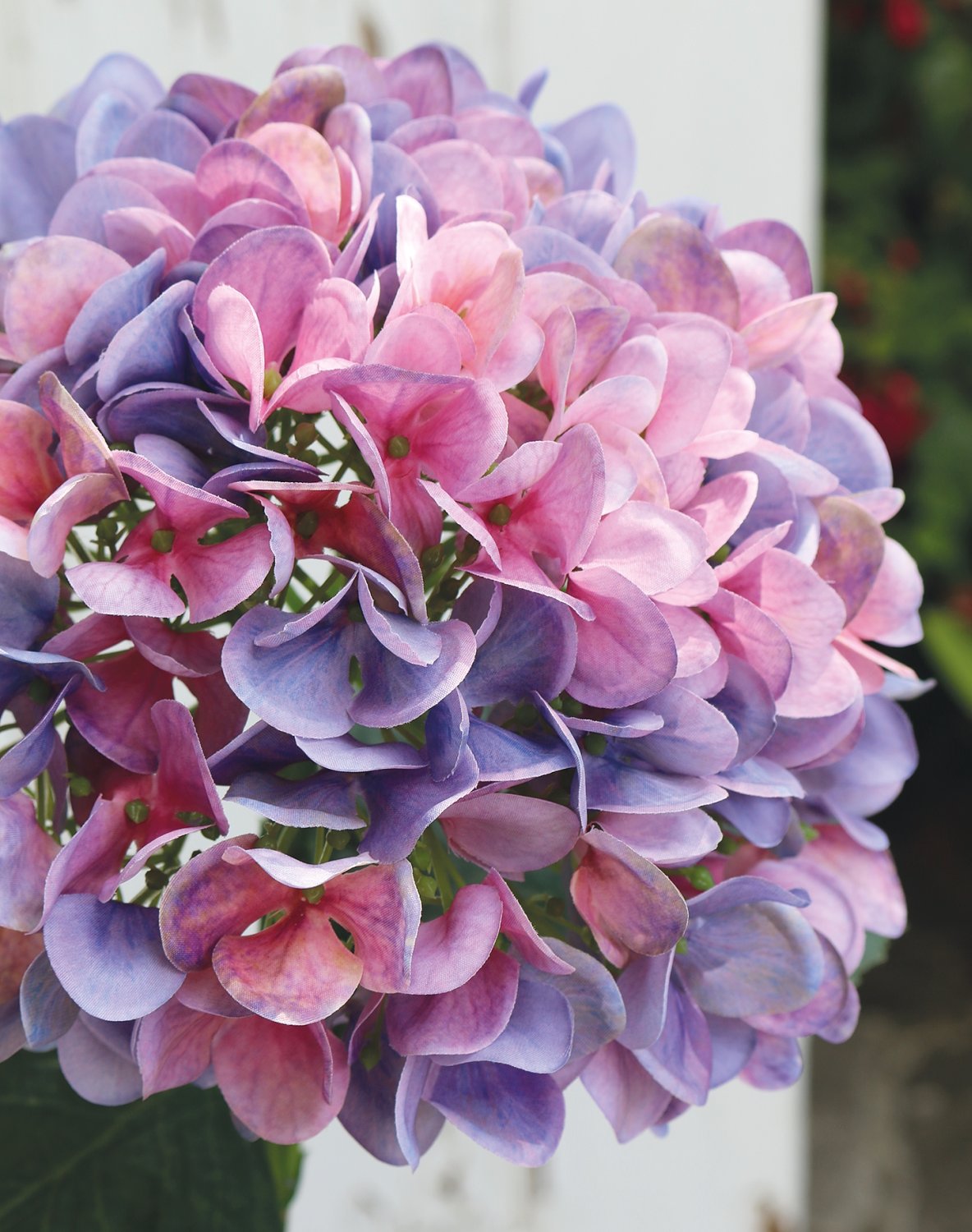 2270 222 a3 Искусственная гортензия, 65 см, темно-фиолетовый H-andreas  - Вид №3