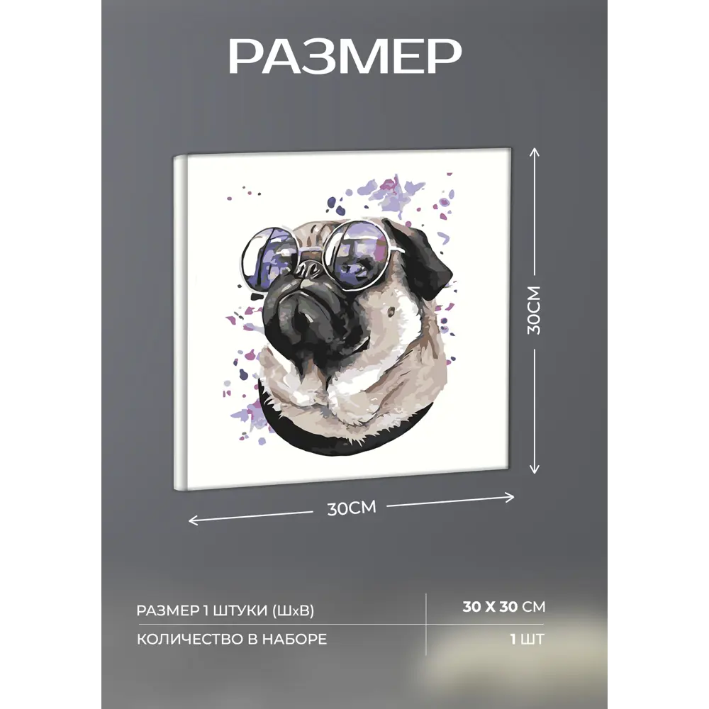 Картина на холсте Мопс 30x30 см FBRUSH STLM-2101025 - Вид №3