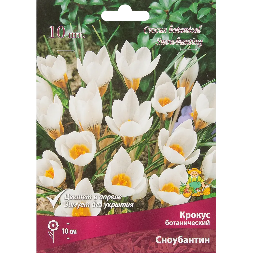 Крокус Сноубантин ПОИСК - белоснежные луковицы для весеннего сада, 10 шт 85204695 STLM-1566787