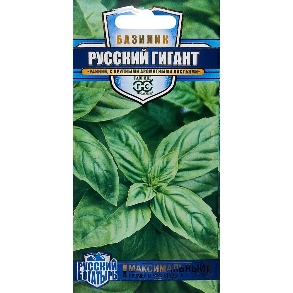 Базилик Русский гигант от ГАВРИШ - крупнолистный сорт с гвоздичным ароматом 89345350 STLM-1577538