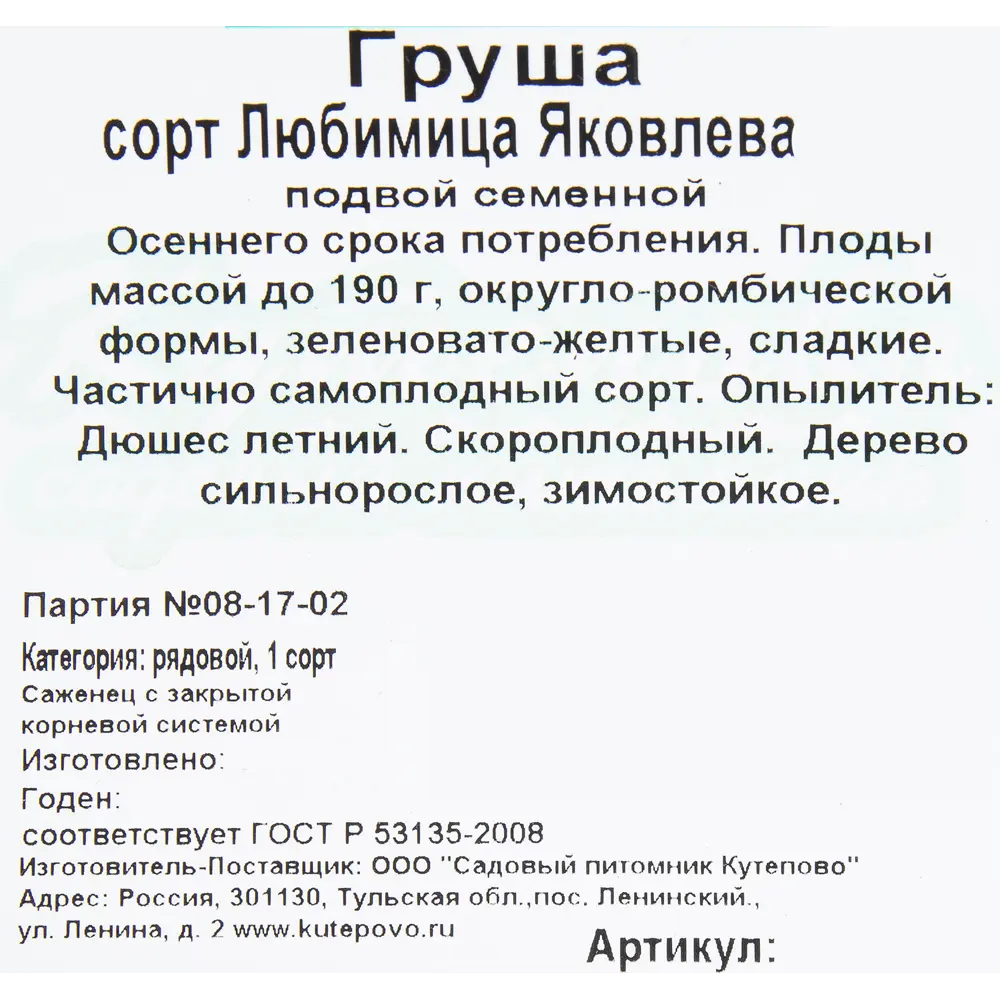 Груша «Любимица Яковлева» C4 высота 140 см 82597068 STLM-2124403 Santreyd  - Вид №1