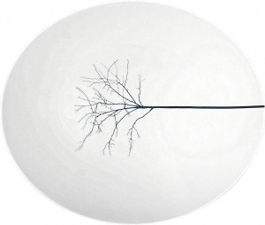 77367 Dibbern Блюдо овальное Dibbern "Чёрный лес" 39см Фарфор костяной