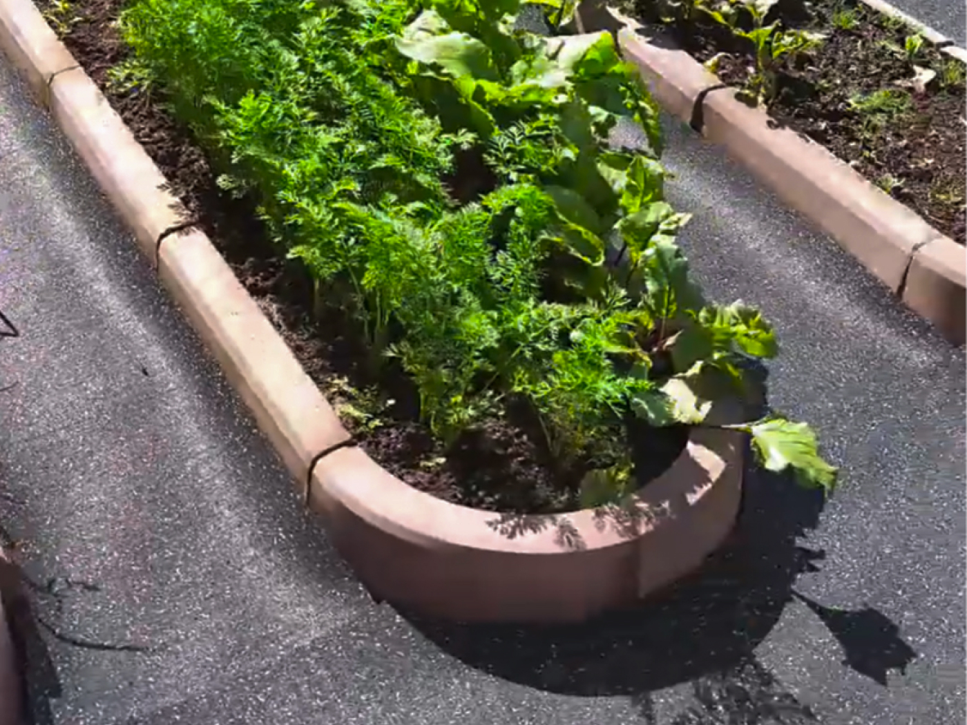 20.3.3AG.Bc Садовая дорожка резиновая Alegria garden  - Вид №4