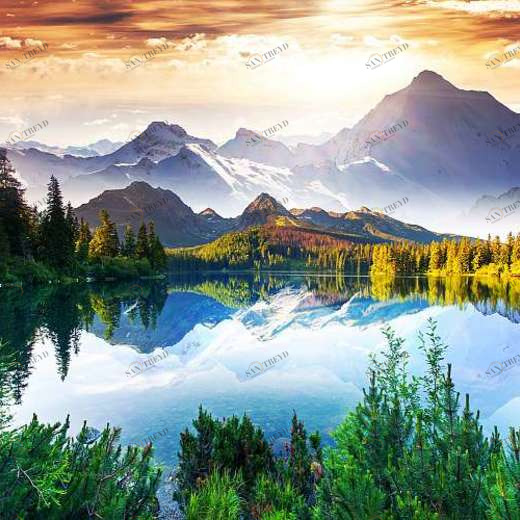 P-098 Фотообои DIVINO L&P 3х2.7 м P098