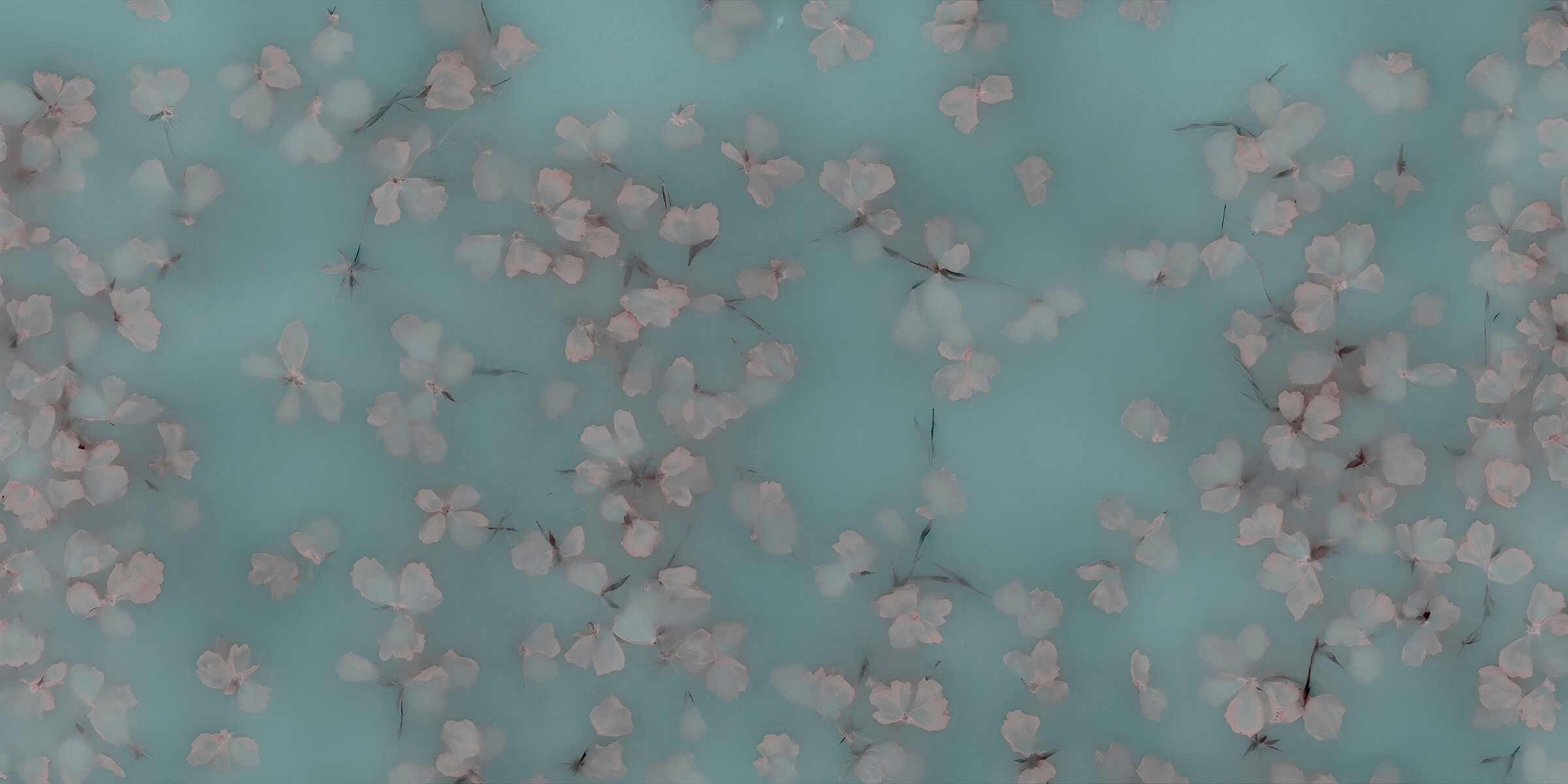 Обои с цветочными мотивами MILLE997 Floral Dream ARCH-00099225 - Вид №3