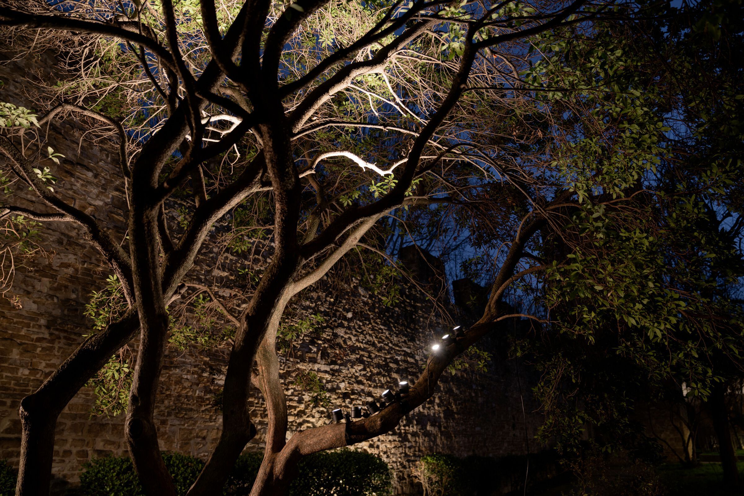 Регулируемый светодиодный наружный прожектор TARGETTI CATIRPEL ARCH-00029740 - Вид №5