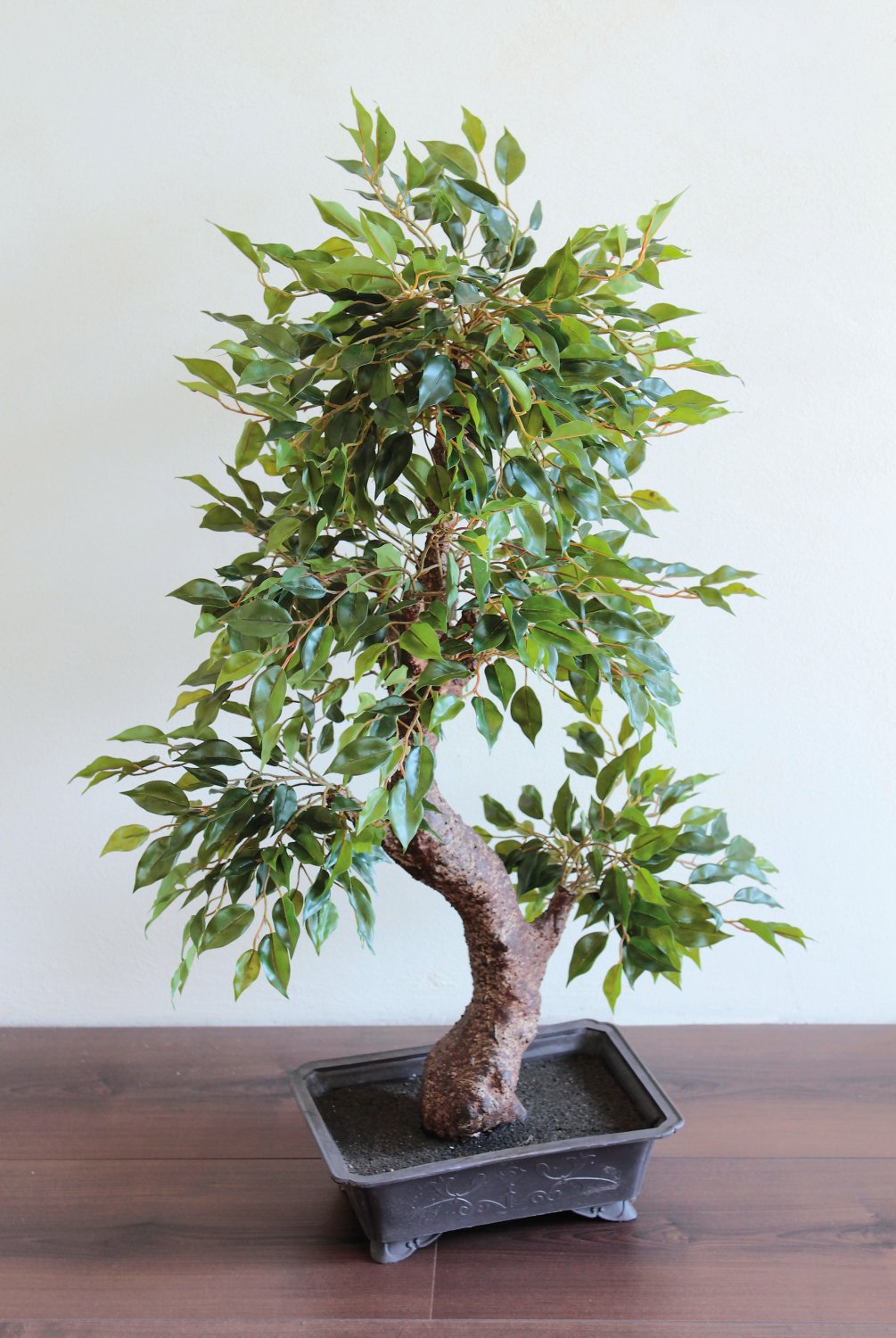 5438 883 a3 Искусственный фикус бонсай, горшечный, 884 листа, 90 см, зеленый H-andreas  - Вид №2