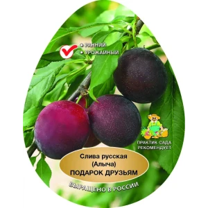 Слива русская Подарок друзьям сетка h200 см 87737935 STLM-2015603