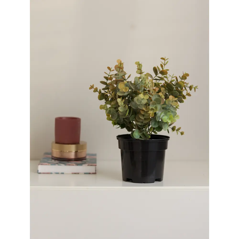 89356250 Искусственное растение в горшке эвкалипт h30 см цвет коричневый STLM-0961796 Santreyd  - Вид №6