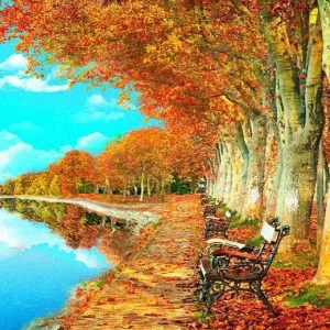 L-035 Фотообои DIVINO L&P 3х2.7 м