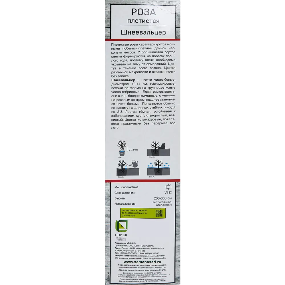 Роза плетистая Шнеевальцер h100 см 86543278 STLM-2211354 Santreyd  - Вид №2