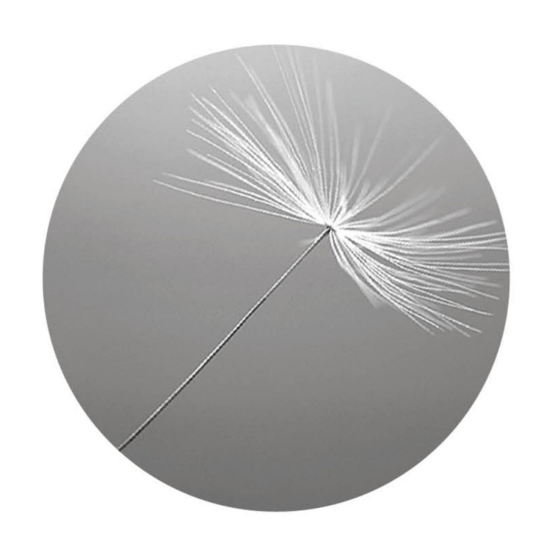 F156X160 Картина Джотто Adriani e Rossi  - Вид №12