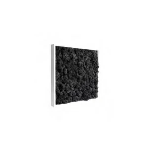 Мох / Moss Frame