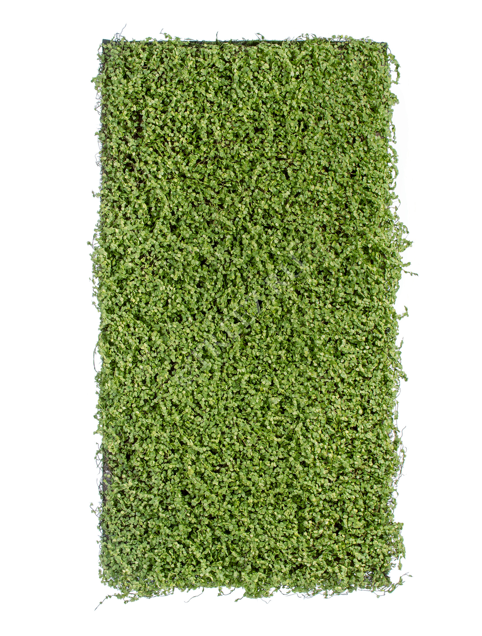 20.0818108M Мох рясковый (полотно) прямоугольник Цветочная коллекция  - Вид №1