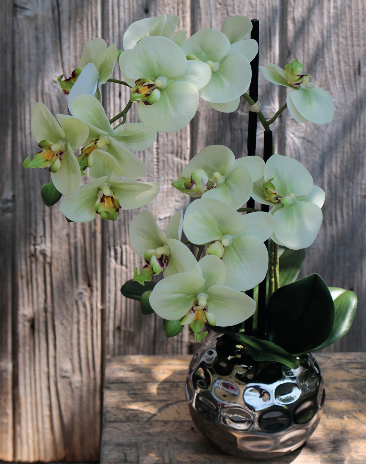2772 788 a3 Пластиковая орхидея Phalaenopsis, 2-х кратная, горшечная, 45 см, real touch, бежево-зеленая H-andreas  - Вид №9