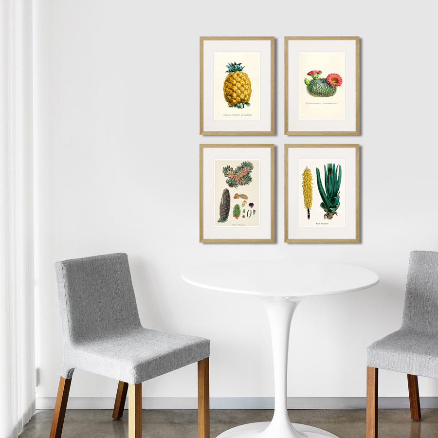 Картина в раме 32х42 см Botany illustration №17, 1836г. КАРТИНЫ В КВАРТИРУ  264490 Желтый;зеленый;разноцветный  - Вид №2