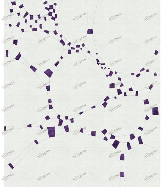 Tapis Rouge Ковер ручной работы из шерсти и шелка Per sempre Tr1650hk