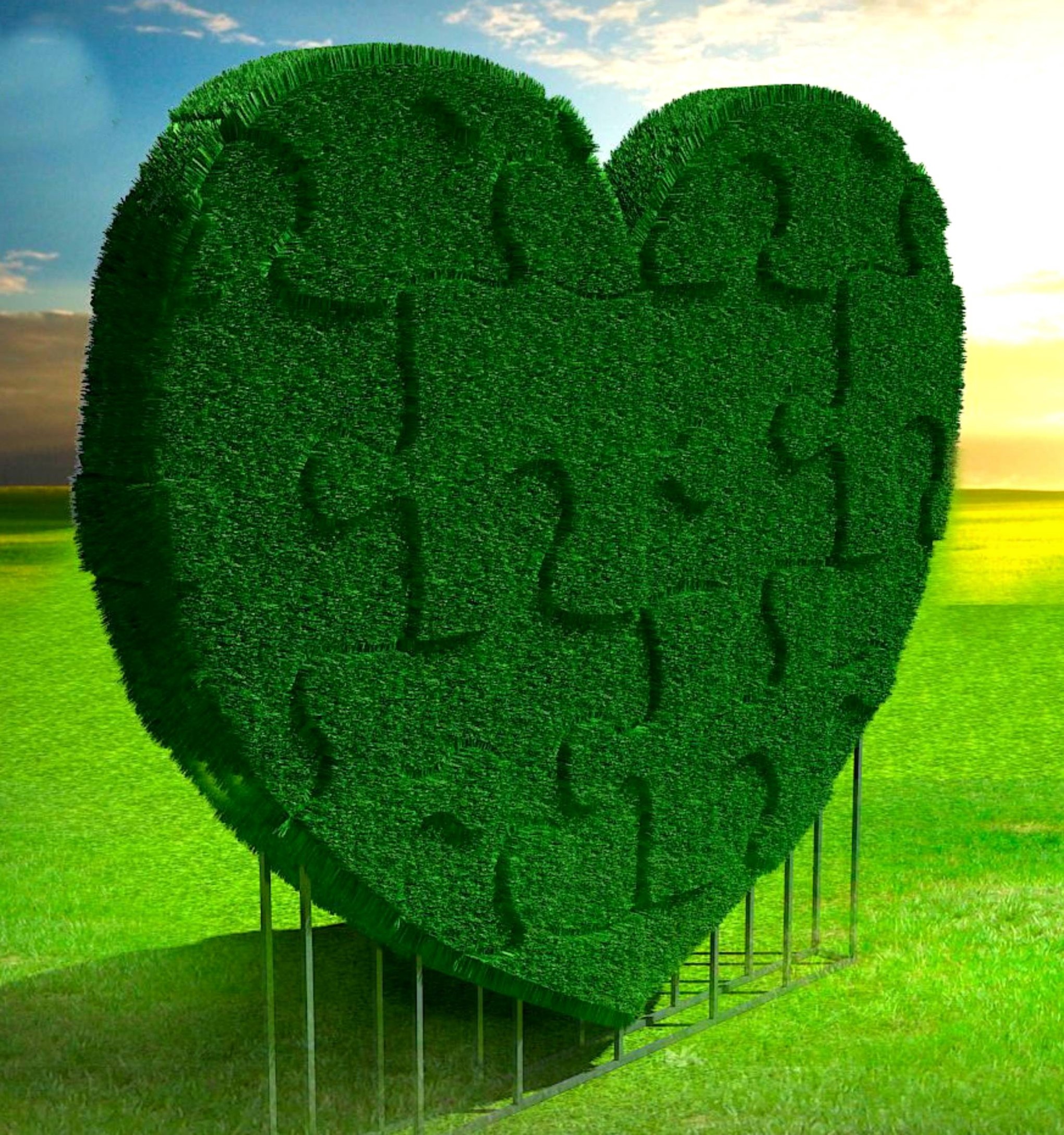 13868 СЕРДЦЕ Пазл, арт-объект LAB.Space  - Вид №1