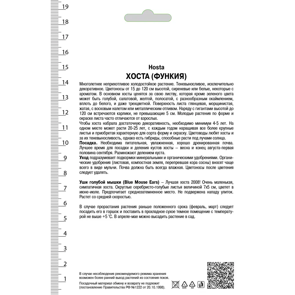 Хоста гибридная «Блу Маус Ирс», 1 шт. 82118739 STLM-2174219 Santreyd  - Вид №1