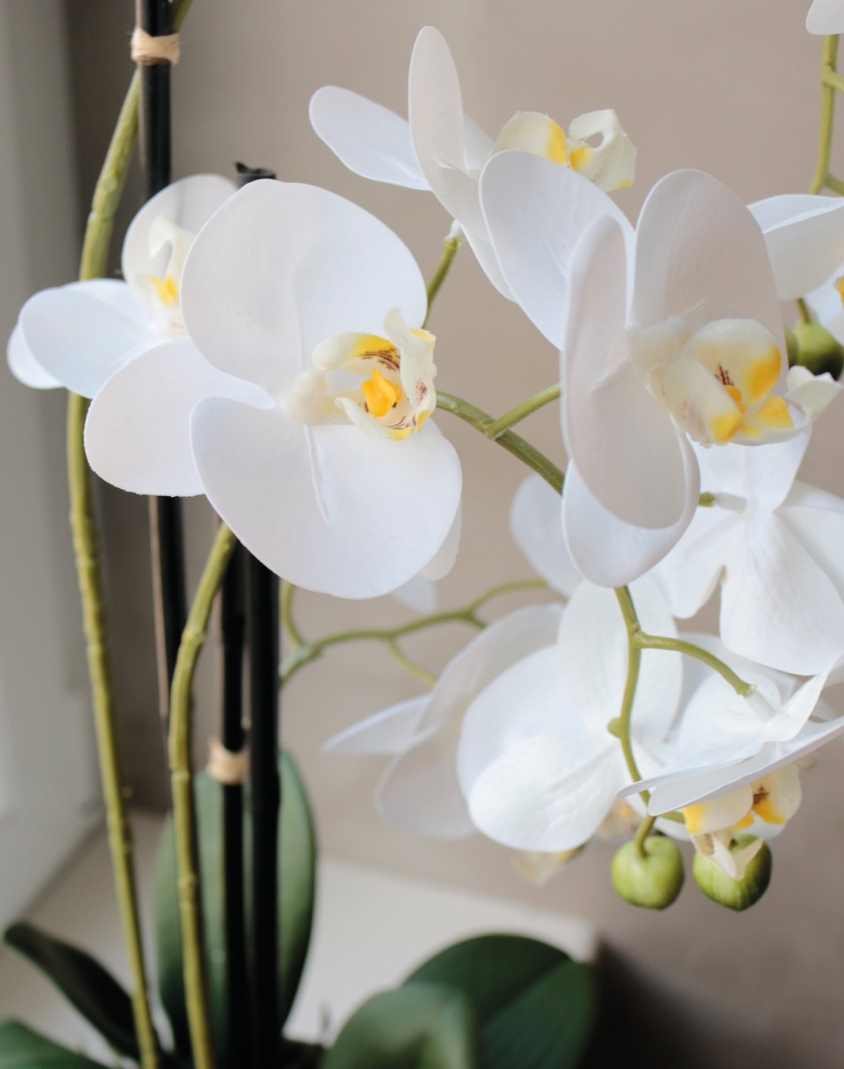 2778 778 a3 Пластиковая орхидея Phalaenopsis, 3-х кратная, горшечная, 55 см, real touch, бежево-белая H-andreas  - Вид №1