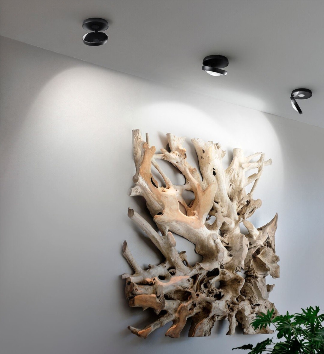 Studio Italia Design Nautilus PL3 165015 black потолочный 114464 - Вид №1