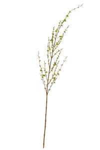 30.05170255LG-L Ветка Корнелиан Черри нежно-зелёная большая Цветочная коллекция