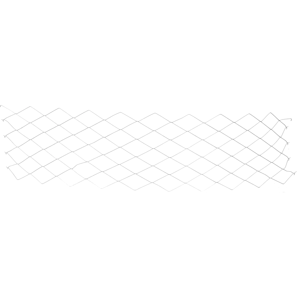 Сетка армированная Штрек 100x100x2x2 мм, 0.5x2 м 14590312 STLM-2070362 STRECK 