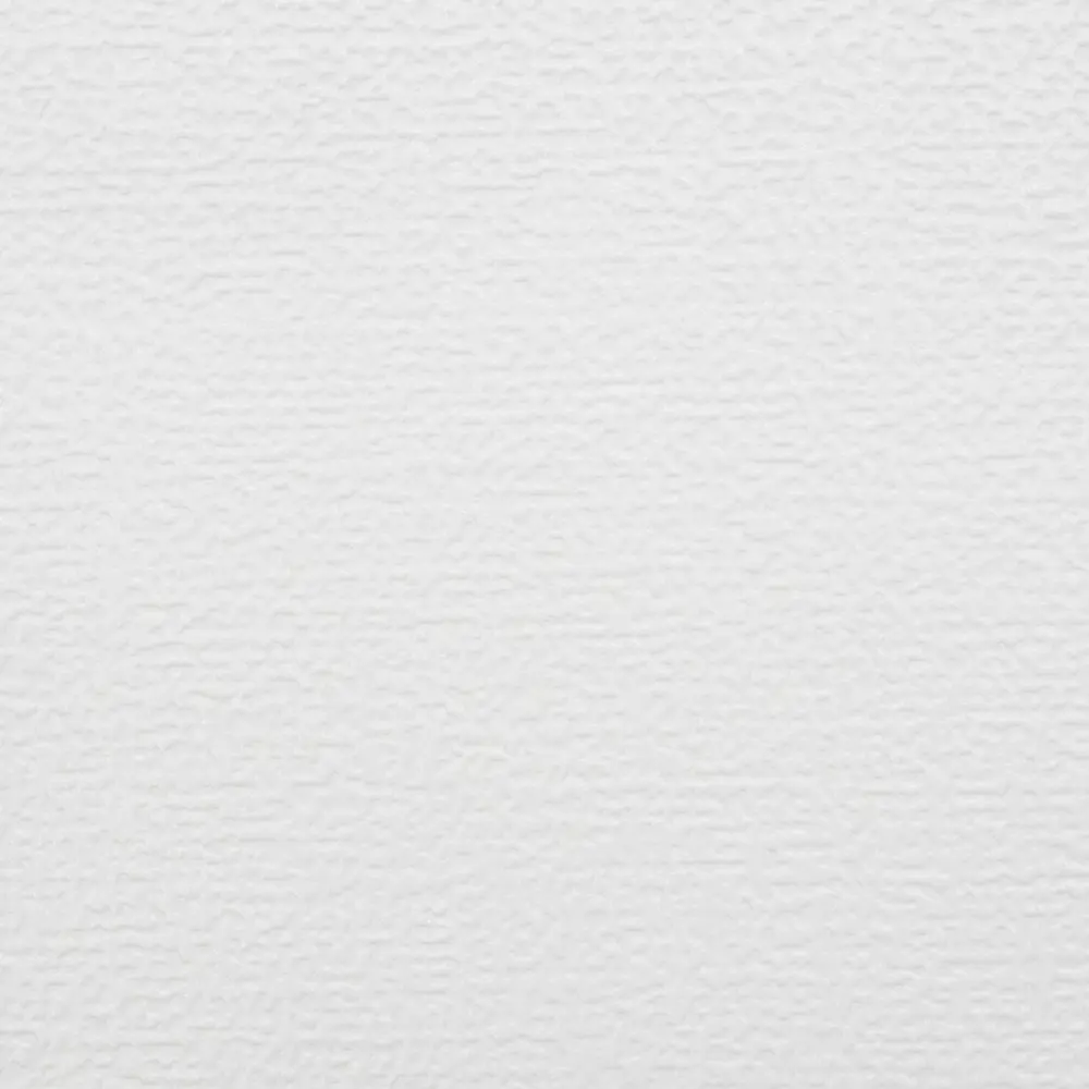 Erismann Defender: Флизелиновые обои под покраску с антивандальными свойствами 82800392 STLM-0036112 - Вид №1