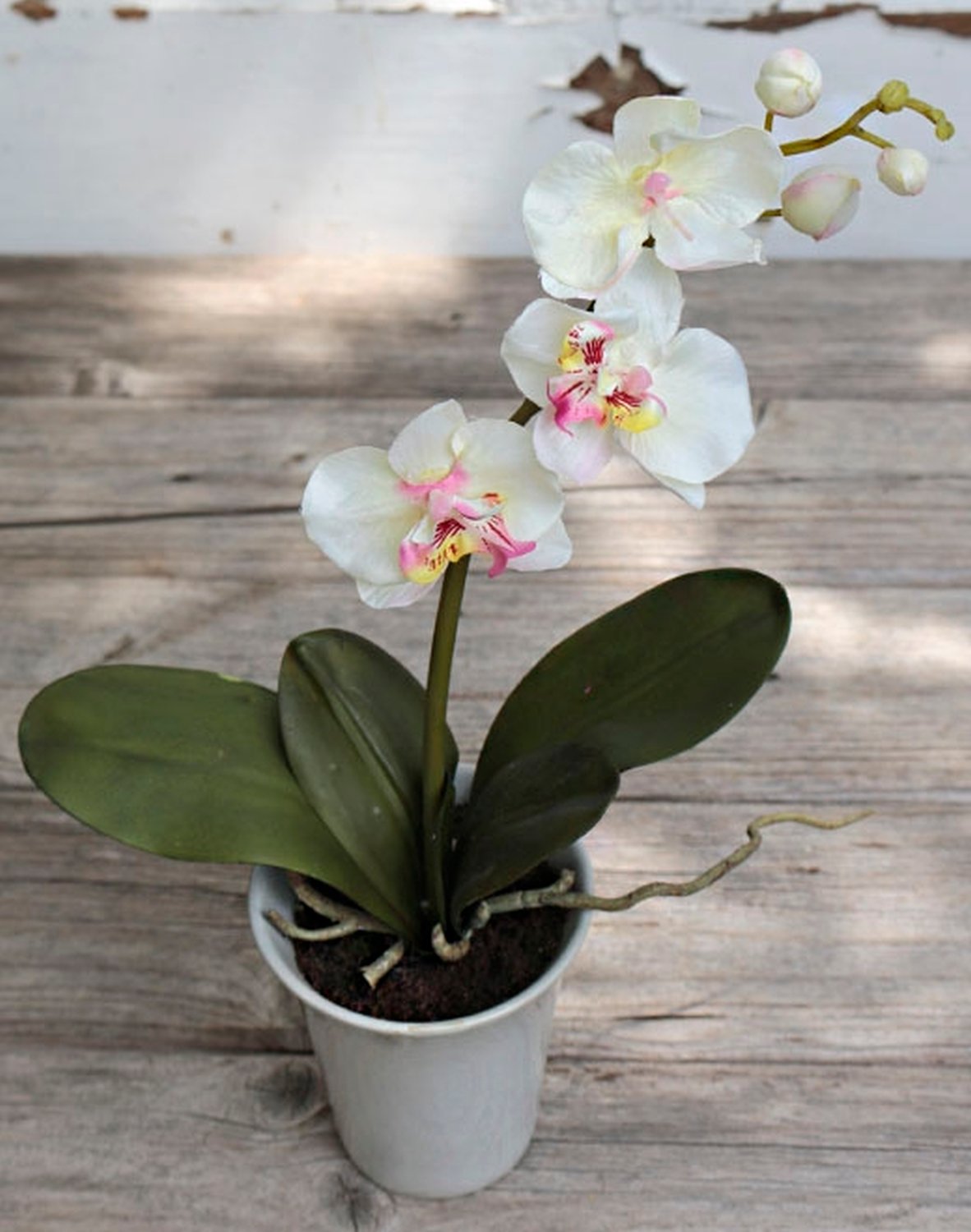 2528 755 a3 Искусственная орхидея Phalaenopsis, горшечная, 40 см, бежево-розовая H-andreas  - Вид №2