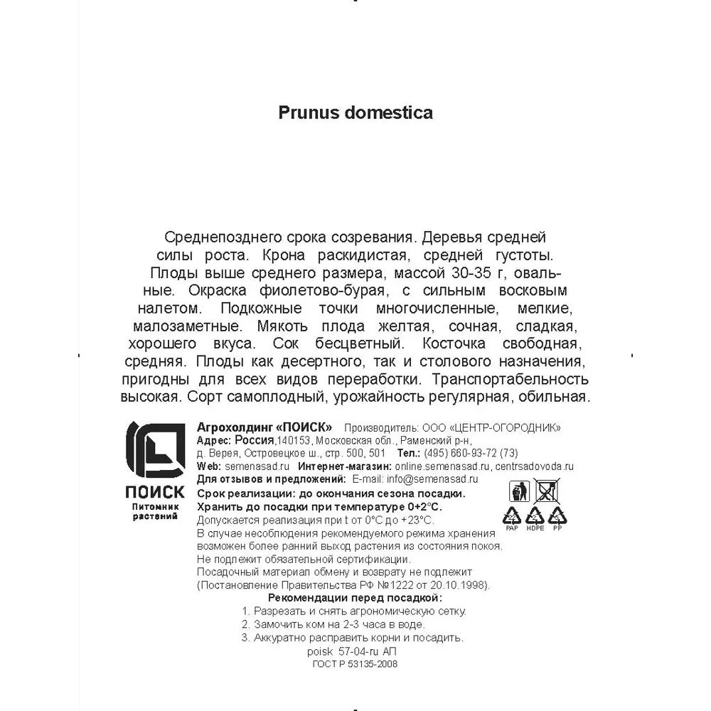 Слива Венгерка Корнеевская h200 см Поиск Инвест 84399304 STLM-2134004 Santreyd  - Вид №2
