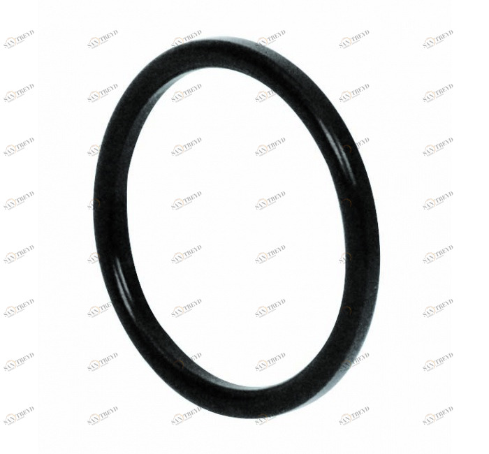 GENEBRE 2957 06 Кольцо уплотнительное для разъема DIN 11851 