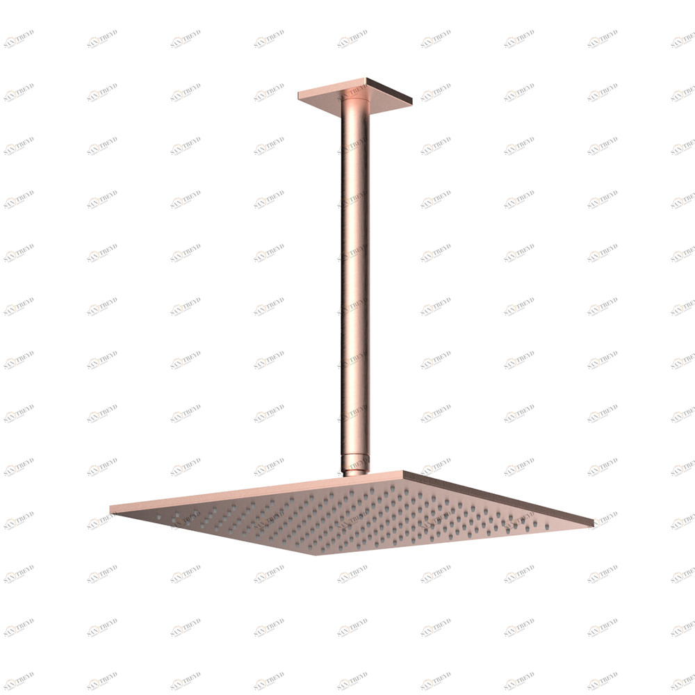 Graffio Квадратная лейка душа 300 × 300 мм с круглым потолочным кронштейном 300 мм. GY853 