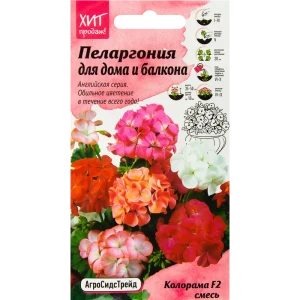 Пеларгония «Колорама» смесь окрасок F2 5 шт.