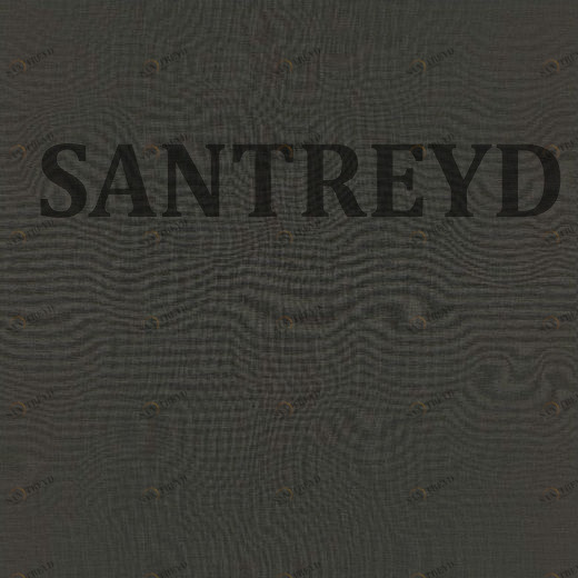 531398r Обои Rasch Club Botanique